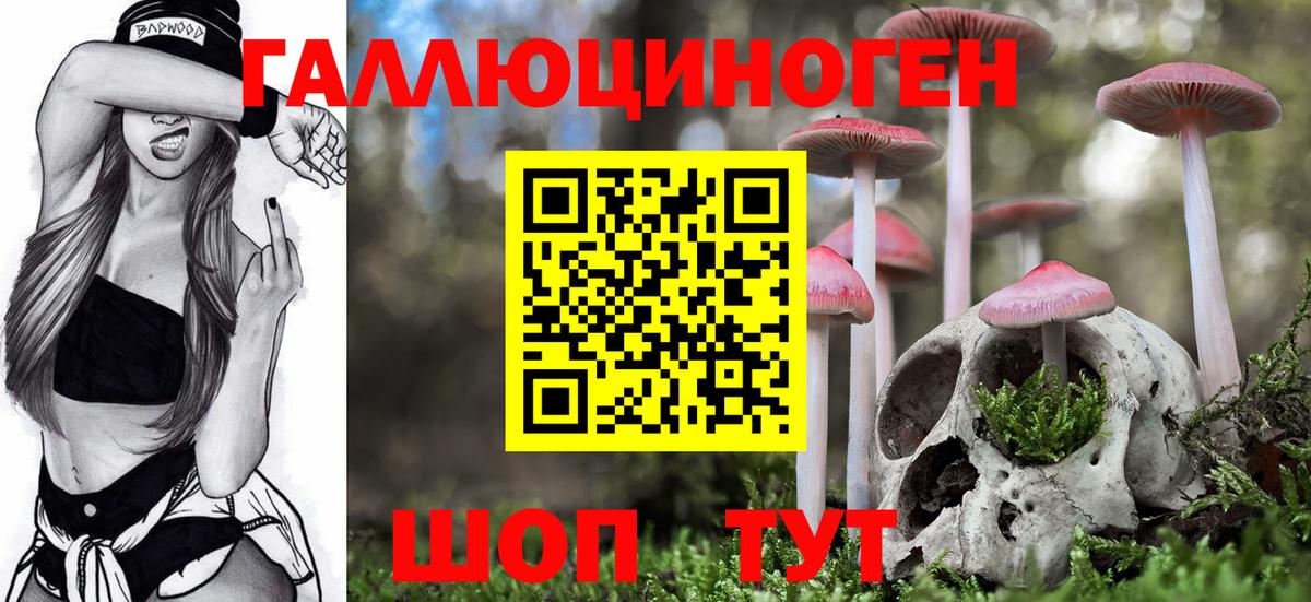 Псилоцибиновые грибы Psilocybine cubensis  Вход с VPN  закладки  Урюпинск 