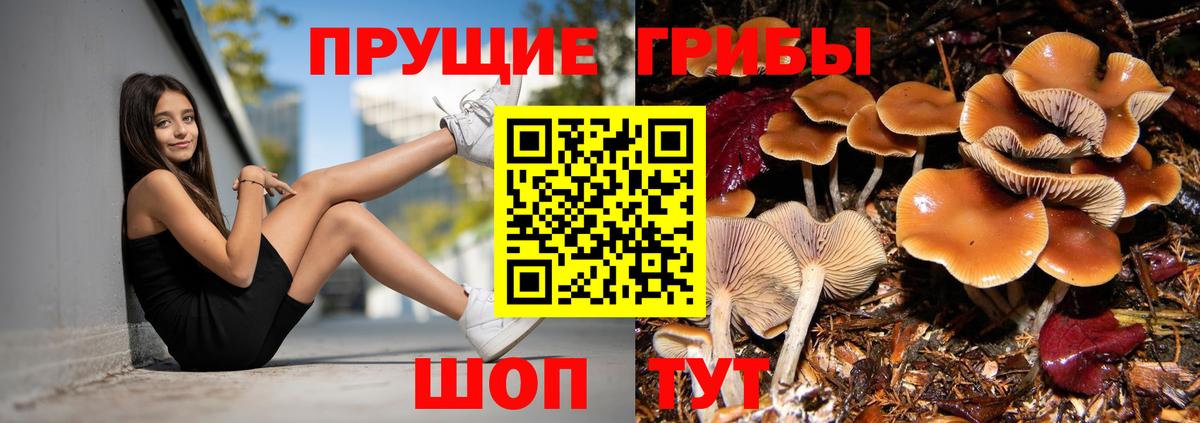 Галлюциногенные грибы GOLDEN TEACHER Урюпинск